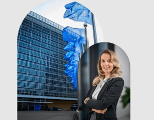 How Civitas-Europe Structures the Process