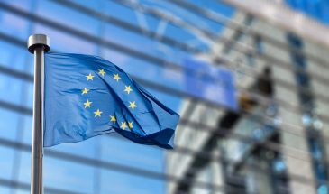 Consiliojus reviews and the Role of Legal Support in EU Citizenship